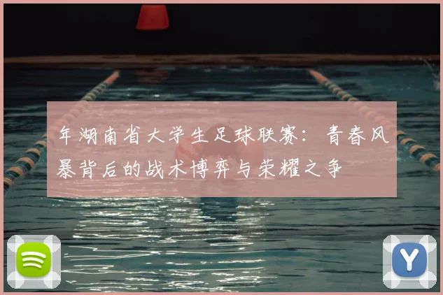 年湖南省大学生足球联赛:青春风暴背后的战术博弈与荣耀之争