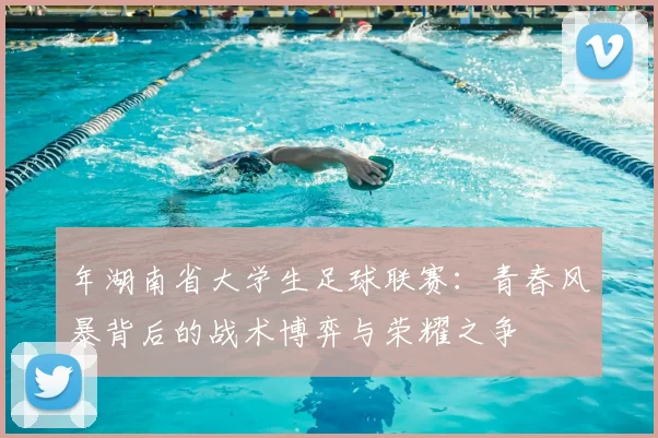 年湖南省大学生足球联赛：青春风暴背后的战术博弈与荣耀之争